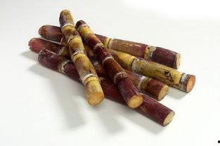 甘蔗爆料原视频,揭秘原视频背后的惊人真相 第1张 甘蔗爆料原视频,揭秘原视频背后的惊人真相 第1张